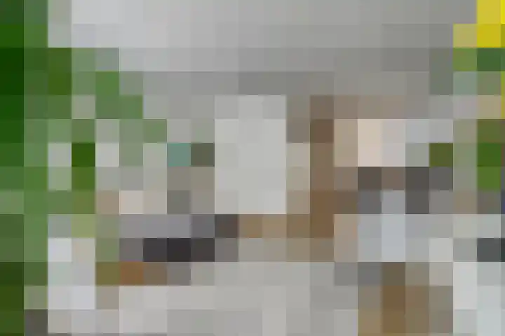 Staringstraat 436 Oss thumbnail 11