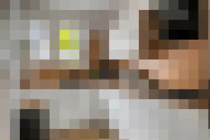 Staringstraat 436 Oss thumbnail 15