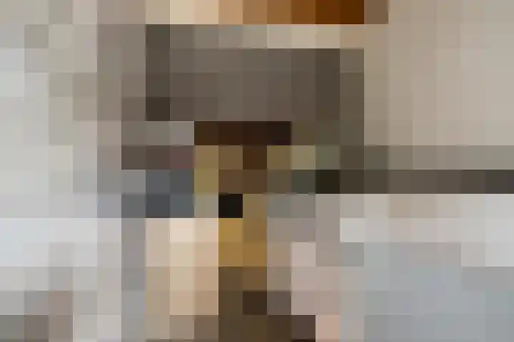 Staringstraat 436 Oss thumbnail 29