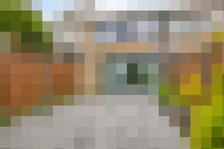 Staringstraat 436 Oss thumbnail 34