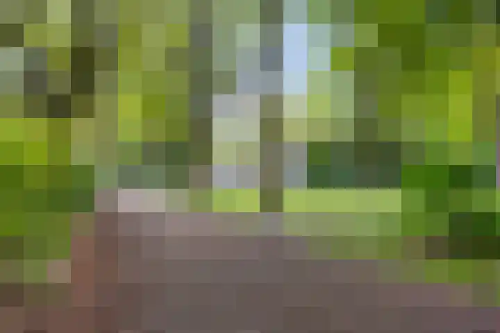 Staringstraat 436 Oss thumbnail 35