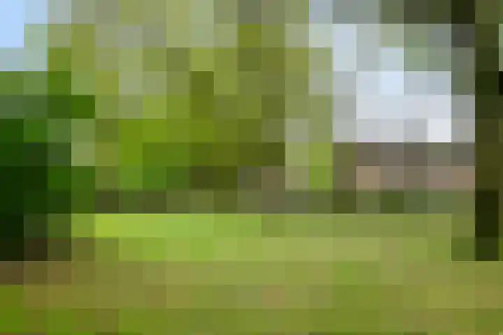 Staringstraat 436 Oss thumbnail 39