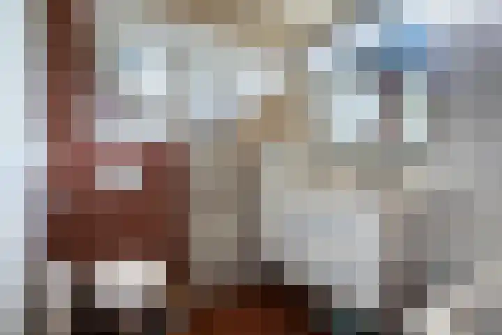 Staringstraat 436 Oss thumbnail 4