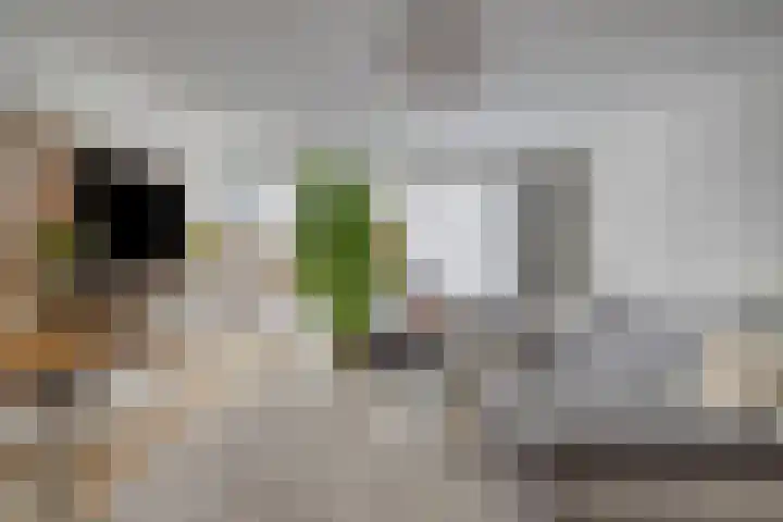 Staringstraat 436 Oss thumbnail 9