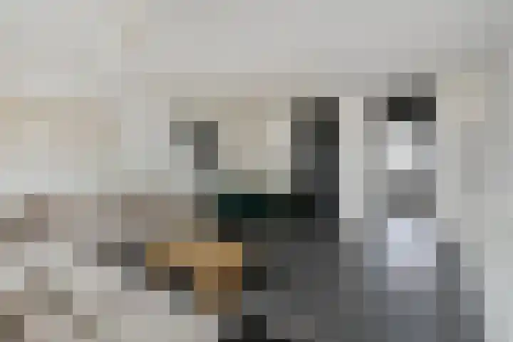 Staringstraat 440 Oss thumbnail 12