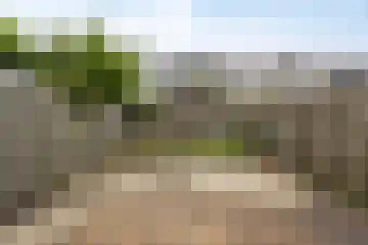 Staringstraat 440 Oss thumbnail 30
