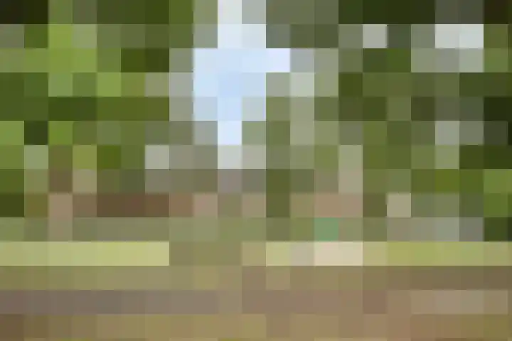 Staringstraat 440 Oss thumbnail 33
