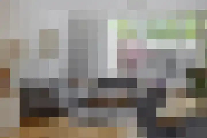 Staringstraat 478 Oss thumbnail 10
