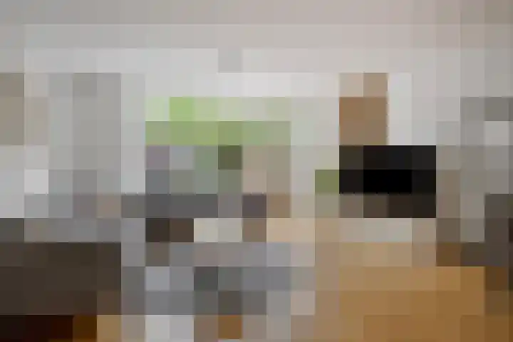 Staringstraat 478 Oss thumbnail 11