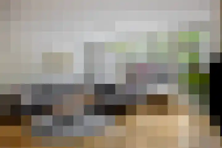 Staringstraat 478 Oss thumbnail 12