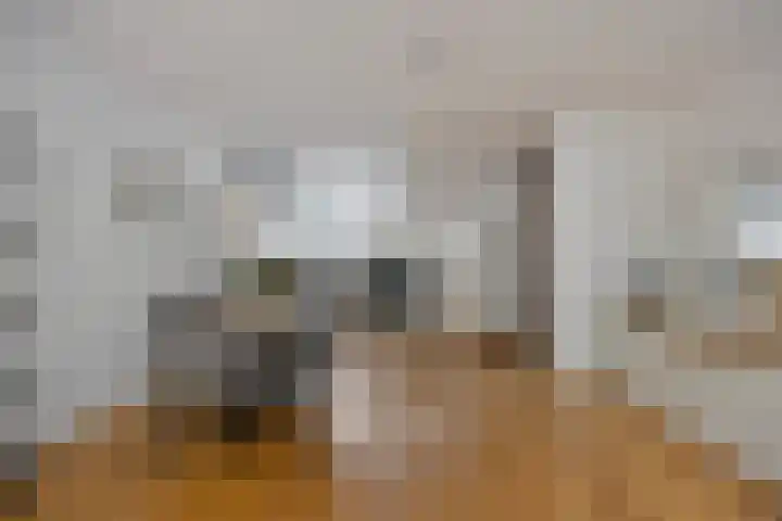Staringstraat 478 Oss thumbnail 15