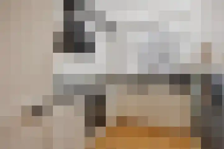 Staringstraat 478 Oss thumbnail 18