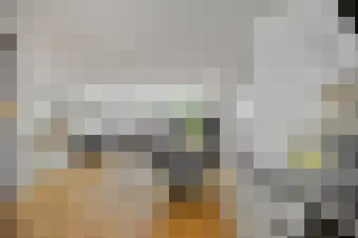 Staringstraat 478 Oss thumbnail 20