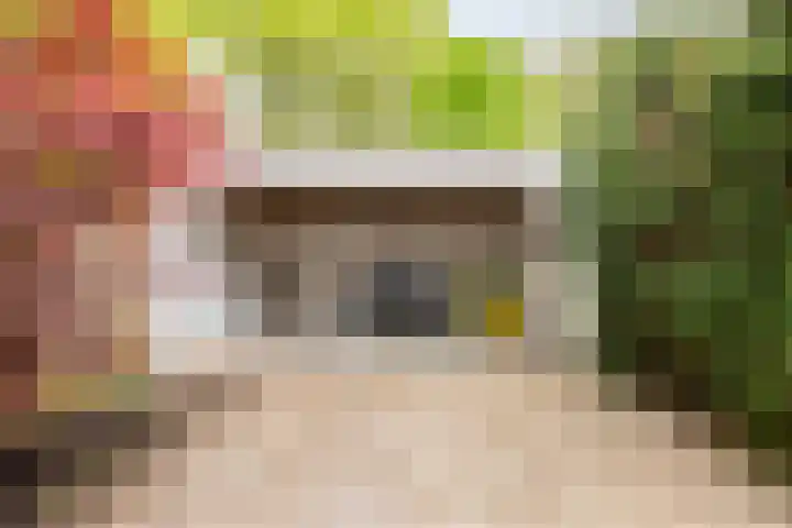 Staringstraat 478 Oss thumbnail 34