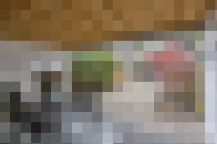 Staringstraat 478 Oss thumbnail 36