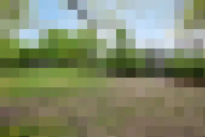 Staringstraat 478 Oss thumbnail 41