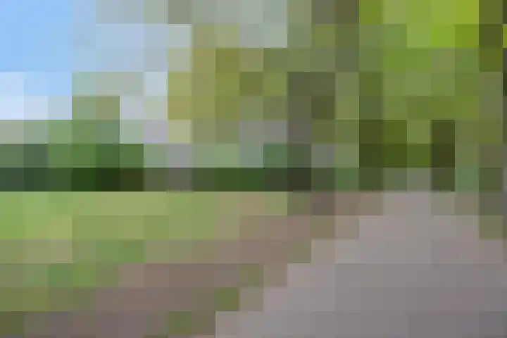 Staringstraat 478 Oss thumbnail 42