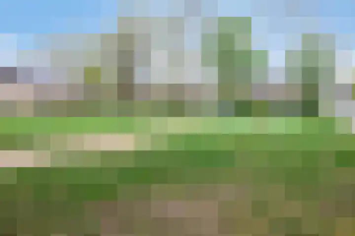 Staringstraat 478 Oss thumbnail 43