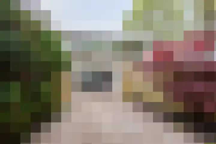 Staringstraat 478 Oss thumbnail 6