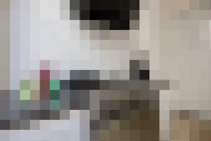 Staringstraat 6 Eindhoven thumbnail 21