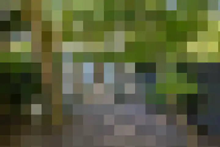Staringstraat 6 Eindhoven thumbnail 33