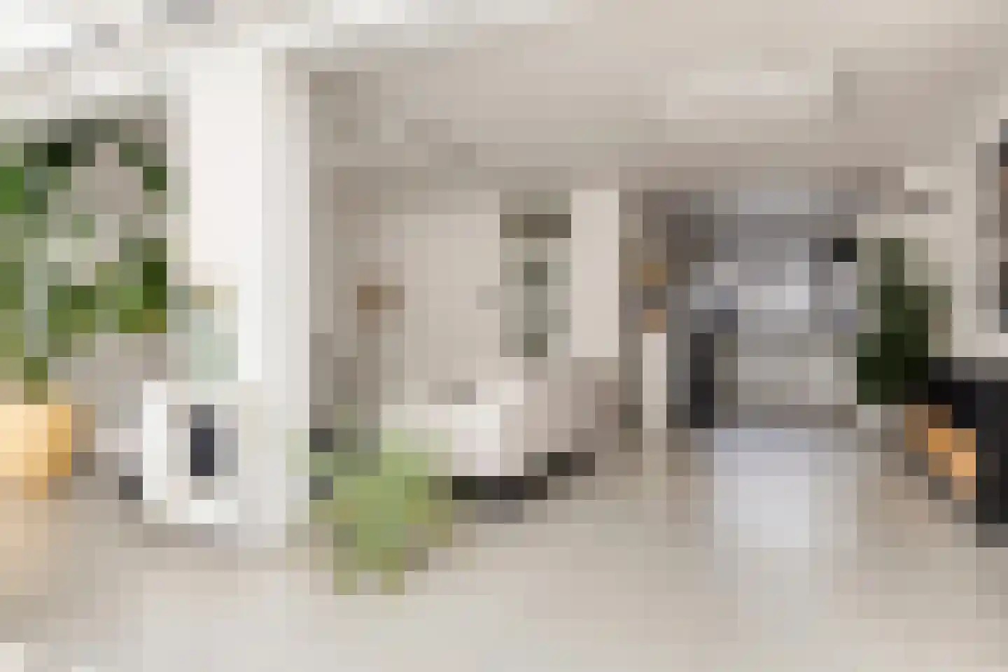 Staringstraat 61 Oss thumbnail 13