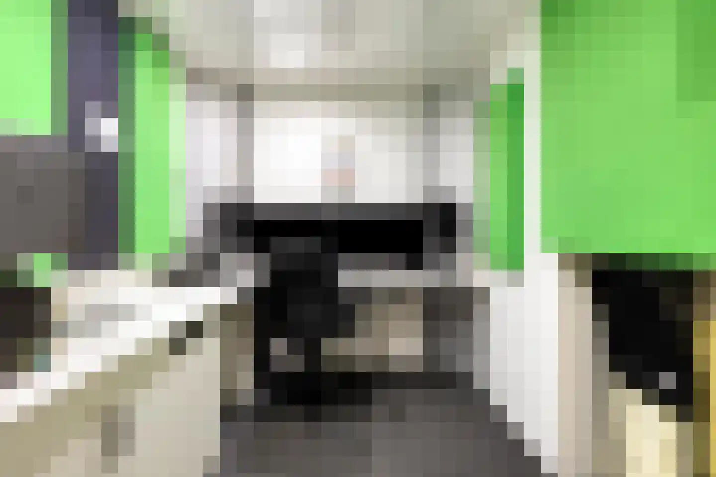 Staringstraat 61 Oss thumbnail 17