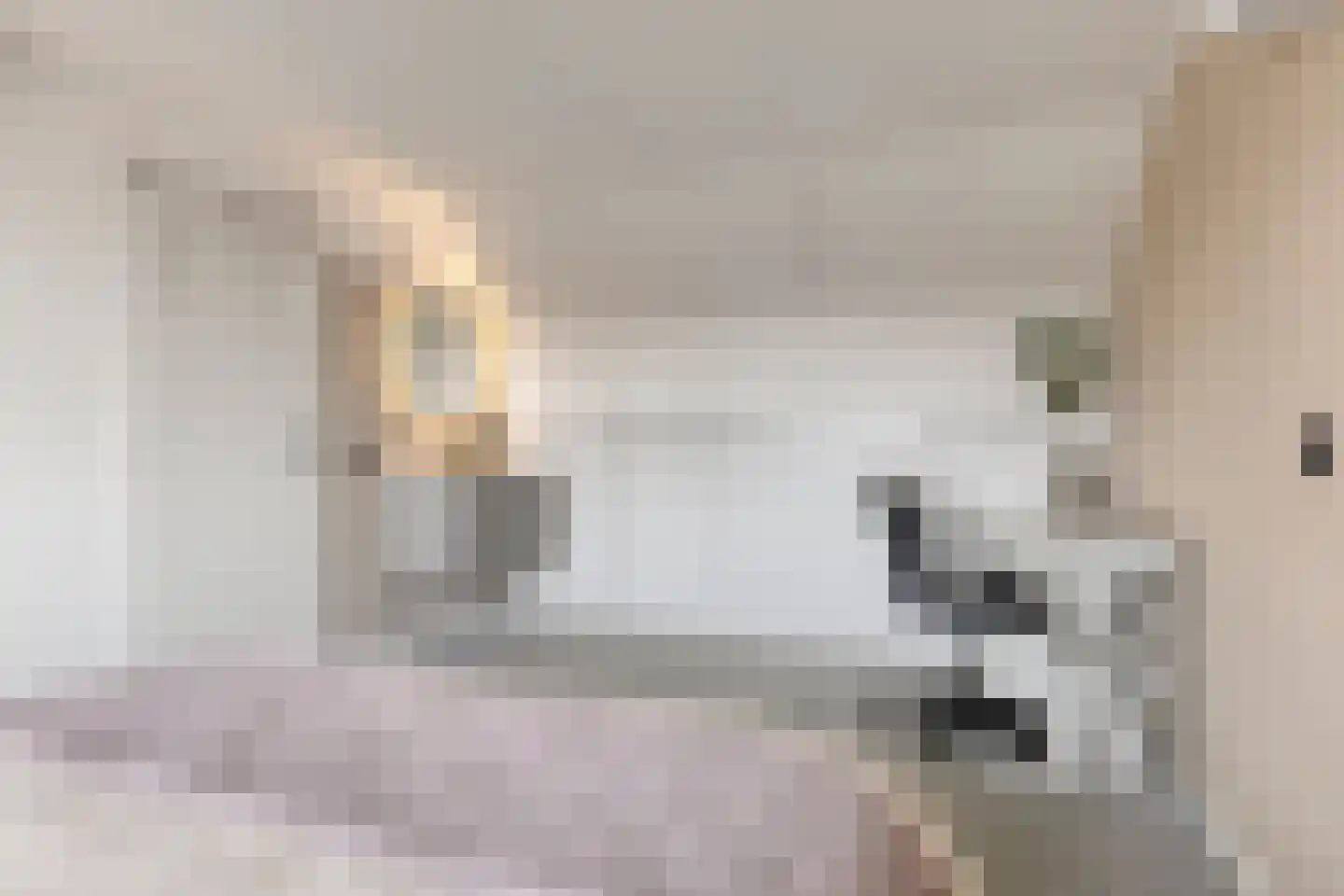 Staringstraat 61 Oss thumbnail 27