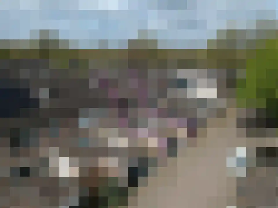 Staringstraat 61 Oss thumbnail 32