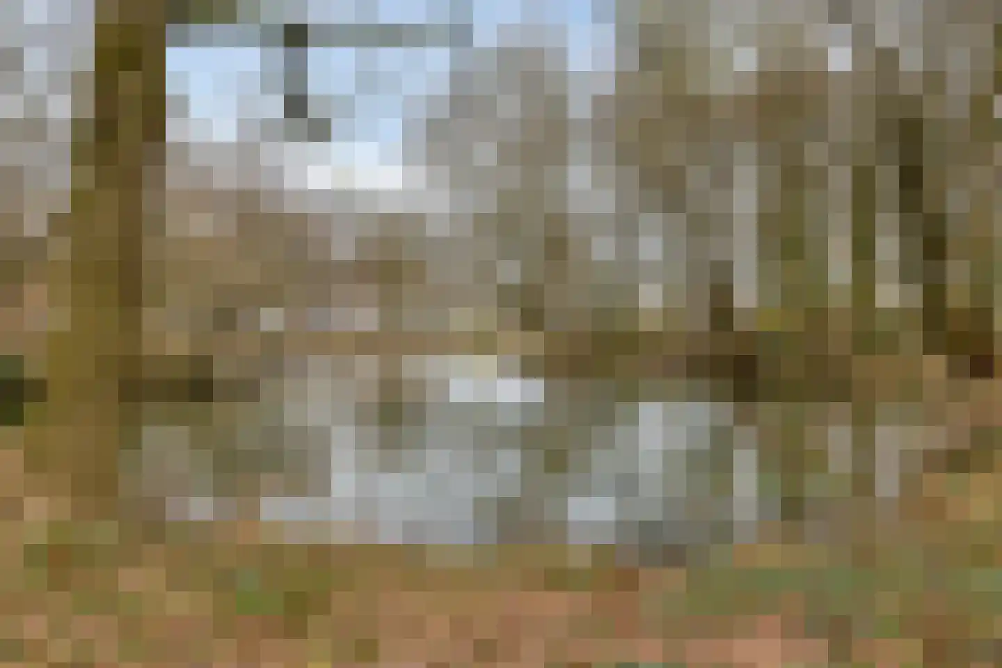 Staringstraat 61 Oss thumbnail 34