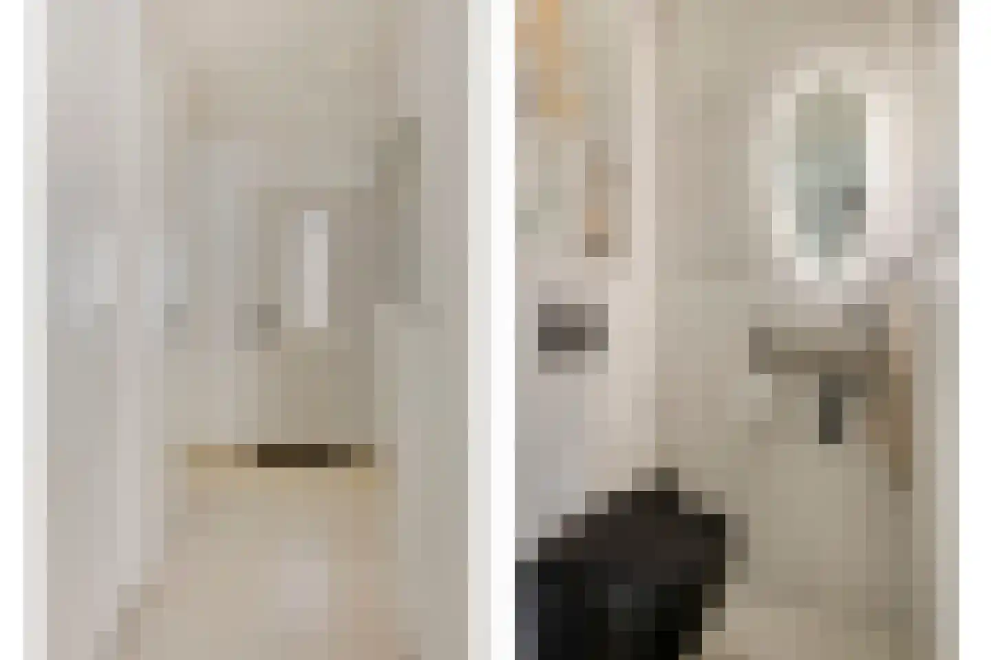 Staringstraat 61 Oss thumbnail 8