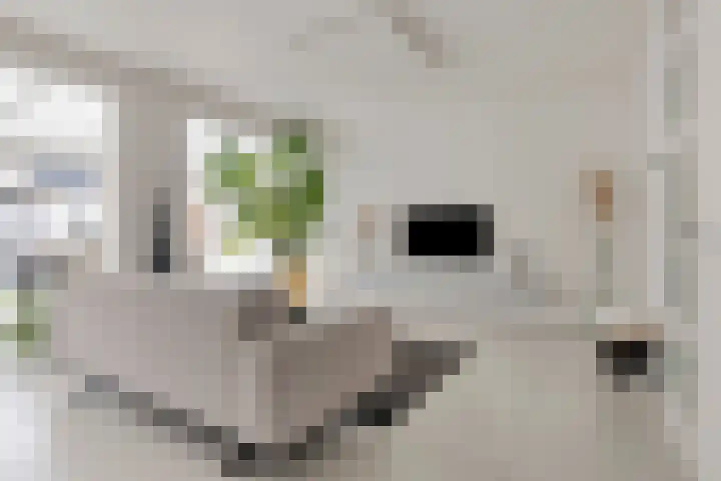 Staringstraat 61 Oss thumbnail 9