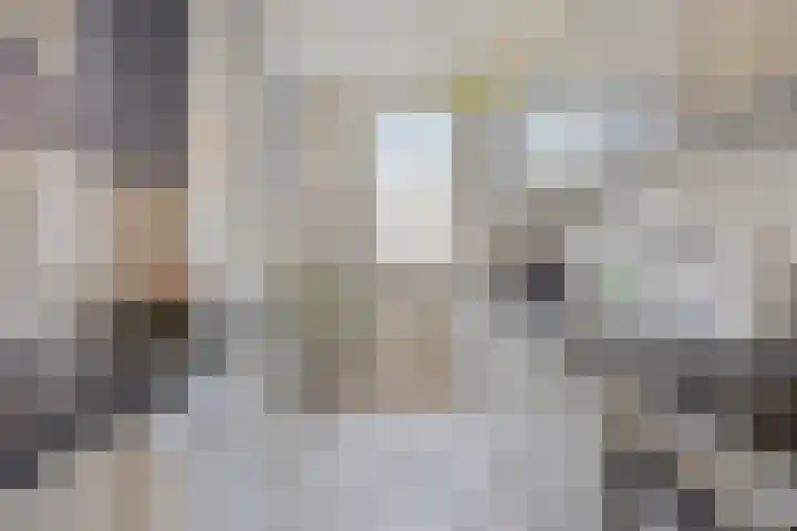 Staringstraat 84 Oss thumbnail 15