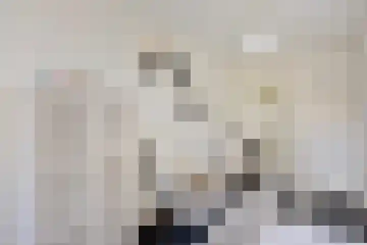 Staringstraat 84 Oss thumbnail 23