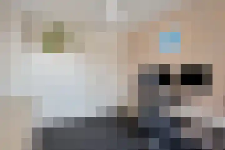 Staringstraat 84 Oss thumbnail 25