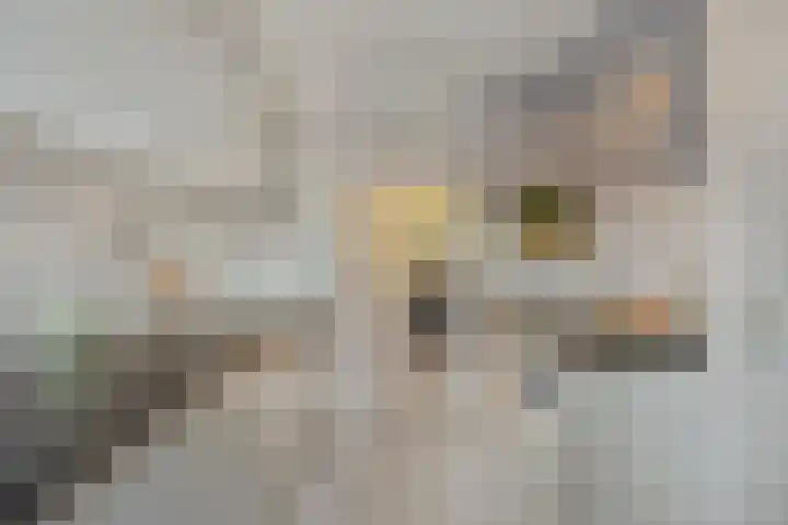 Staringstraat 84 Oss foto 3