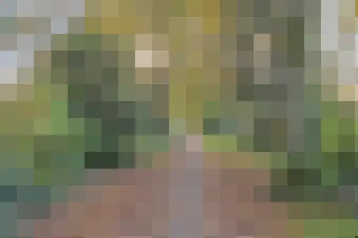 Staringstraat 84 Oss thumbnail 36