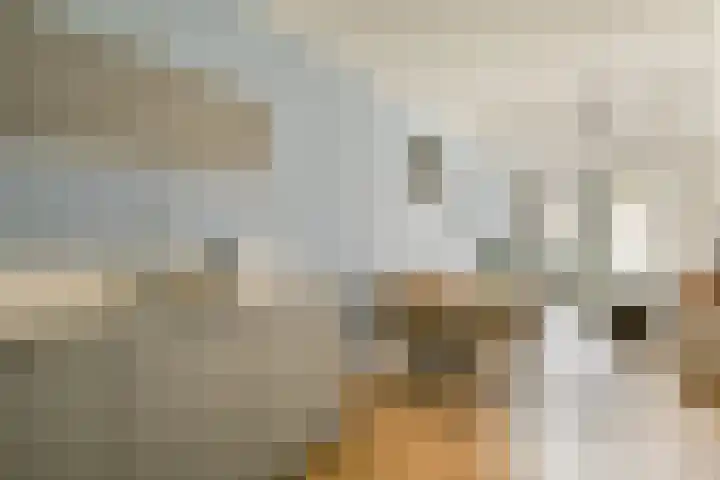 Startbaan 110 Amstelveen thumbnail 11