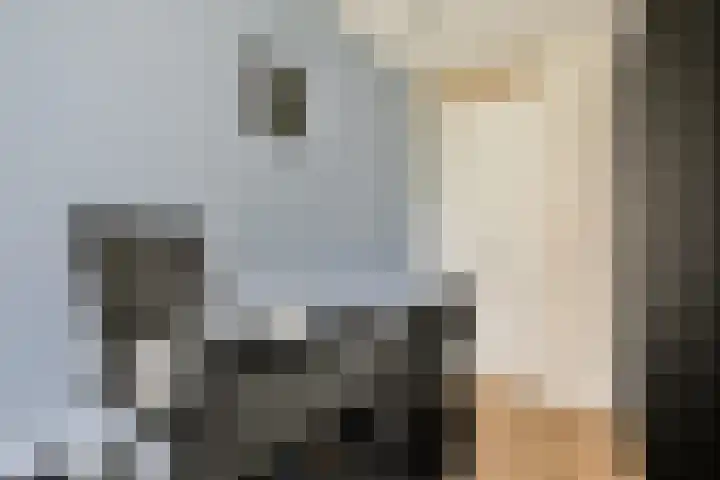 Startbaan 110 Amstelveen thumbnail 18