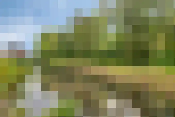 Startbaan 80 Amstelveen thumbnail 32