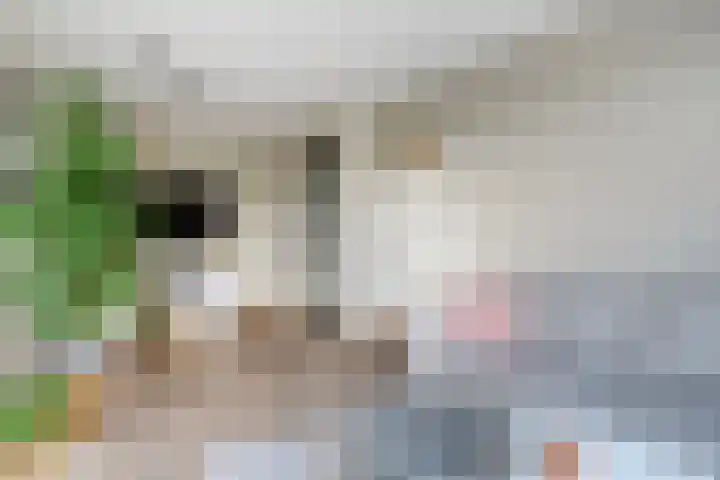 Startbaan 80 Amstelveen thumbnail 9