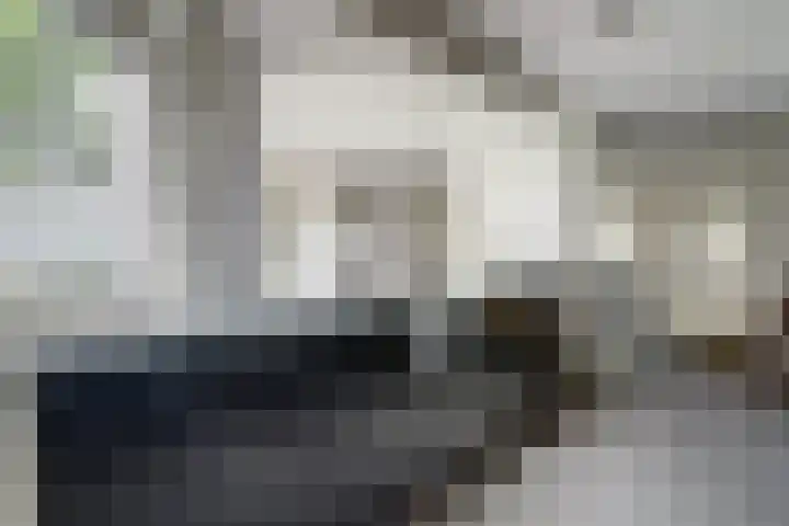 Startvenseweg 99 Wijchen thumbnail 13