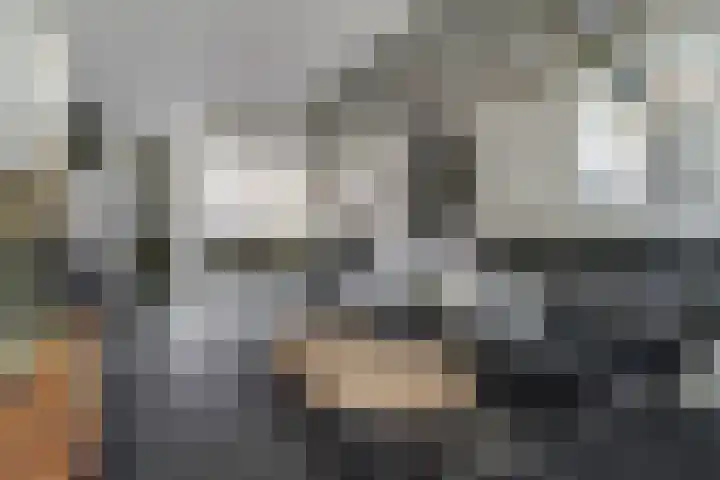 Startvenseweg 99 Wijchen thumbnail 4