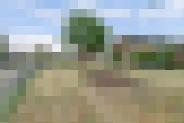 Startvenseweg 99 Wijchen thumbnail 44