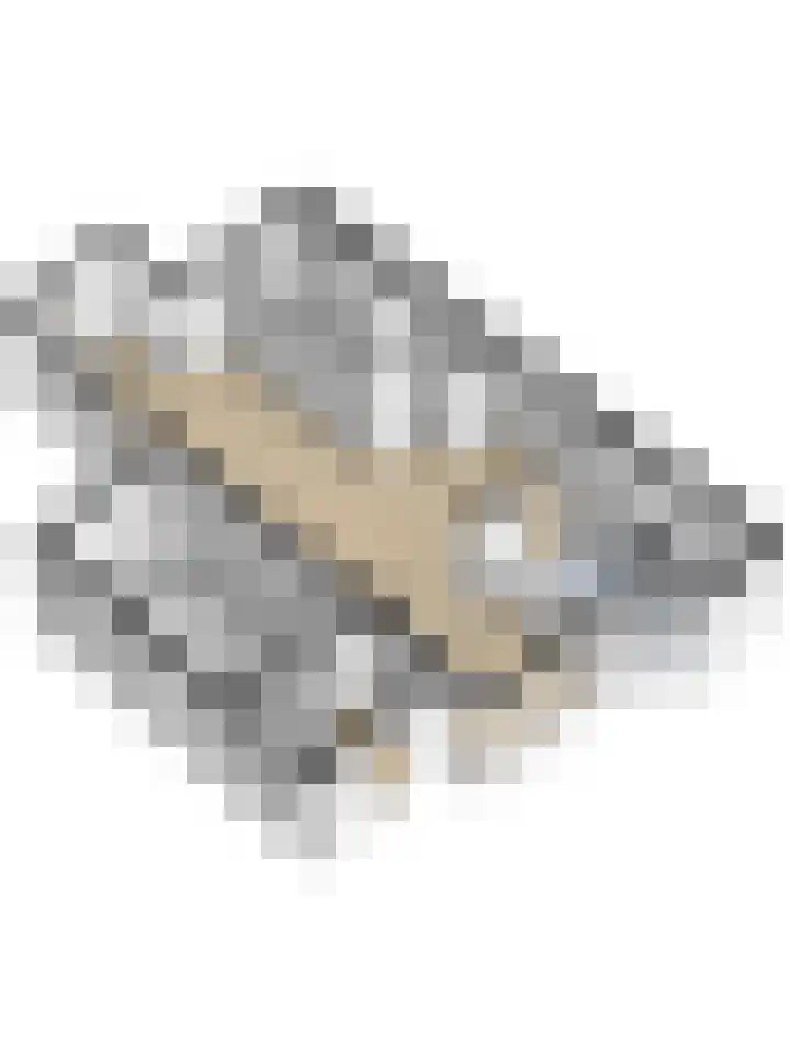 Startvenseweg 99 Wijchen thumbnail 47