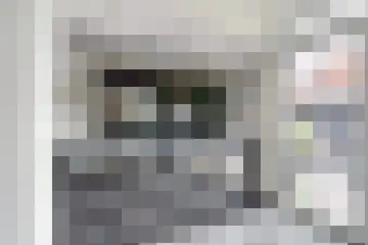 Startvenseweg 99 Wijchen thumbnail 9