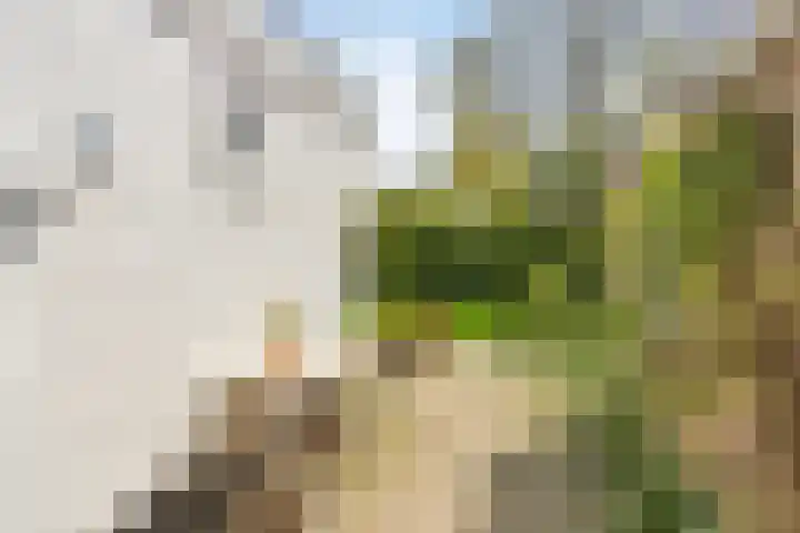 Stasjonsleane 8 Oudega thumbnail 27