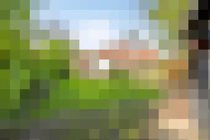 Stasjonsleane 8 Oudega thumbnail 32