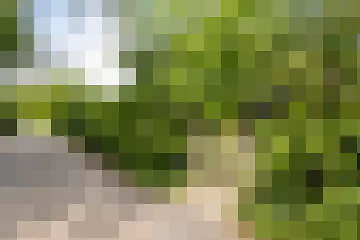 Stasjonsleane 8 Oudega thumbnail 33