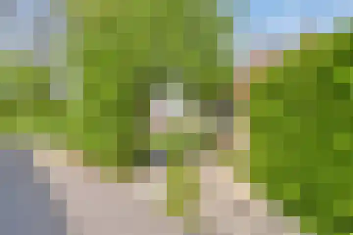 Stasjonsleane 8 Oudega thumbnail 34